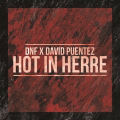 DNF x David Puentez - Hot In Herre (Original Mix)