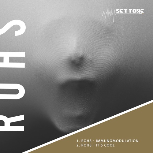 ROHS - It's Cool (Snippet)