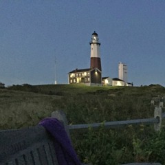 hi, today we go to the woods