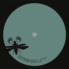ZC016 - PMTHZK (pozek&mmths) - Apfelbraun - Featherhorned Beetle EP - Zodiak Commune Records