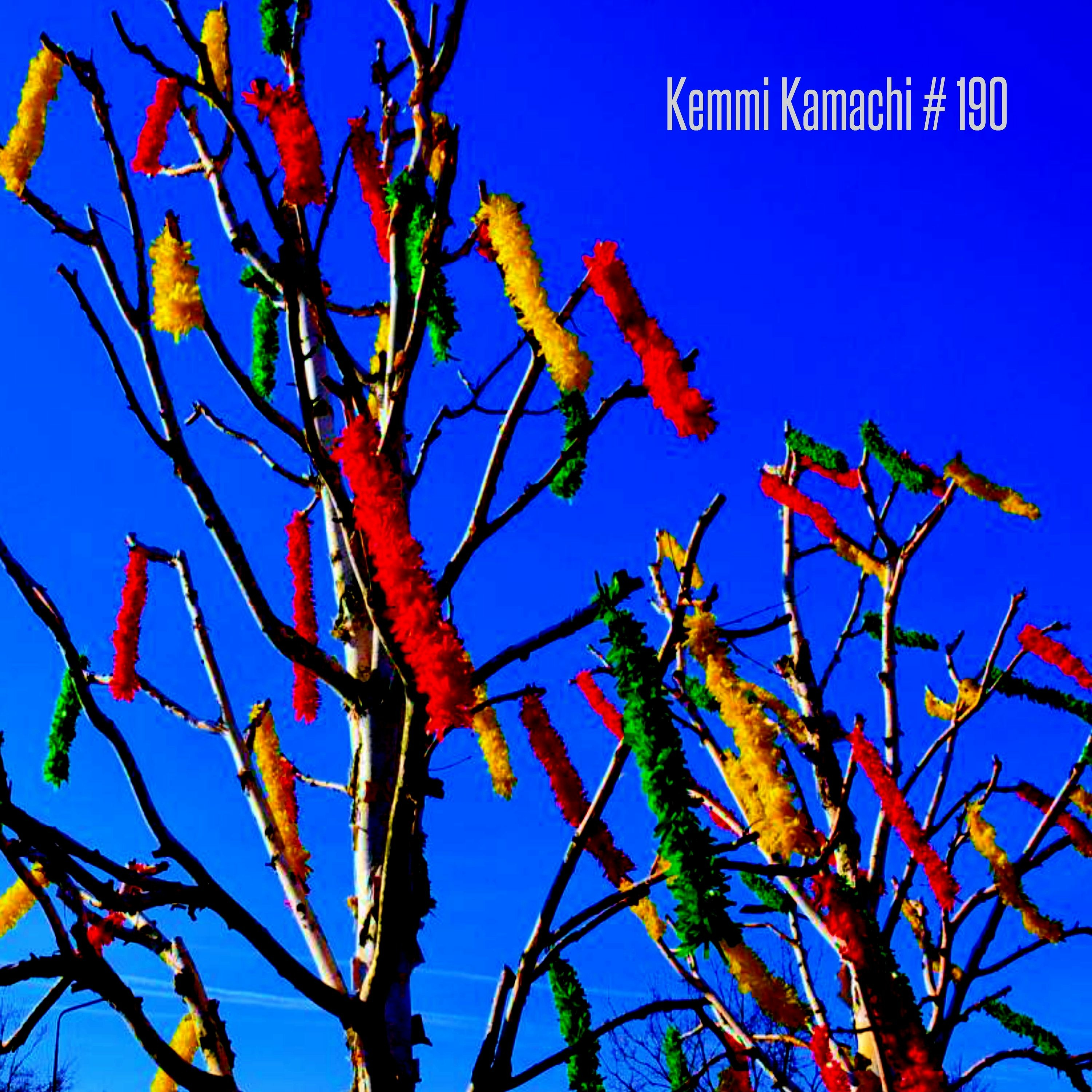 Kemmi Kamachi
