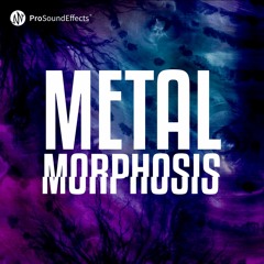 Metalmorphosis - Demo