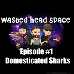 #1 - Domesticated Sharks