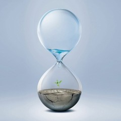 Three Minute Breathing Space Respond