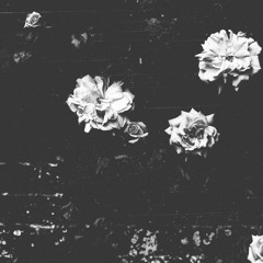 instrumentals 24