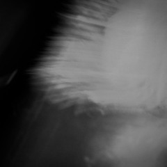 Drvg Cvltvre - Collapsing Ecosystems and Other Fun  EP (Excerpts)