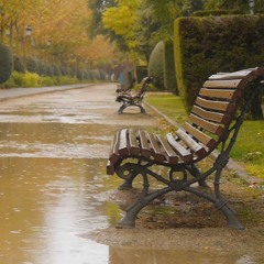 How To Relax With Nature Sounds | Rain & Thunder Sounds in the Park