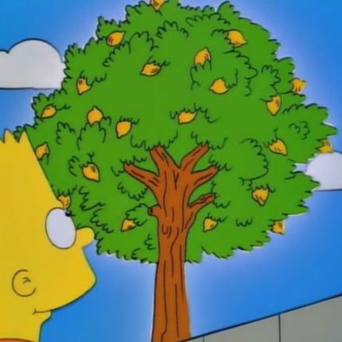 LEMON TREE w/ FOME