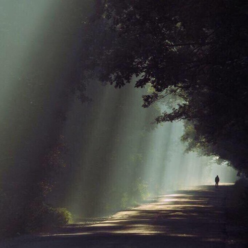 فاعذريني من نفاذ الصبر .