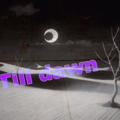 Till dawn(prod.by RO$$) on Spotify now