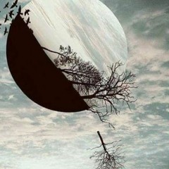 ELEMENT AIR  -  HG &  N