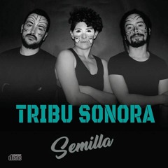 05 - Tribu Sonora - Pueblo Unido