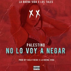 No Lo Voy A Negar - Palestino