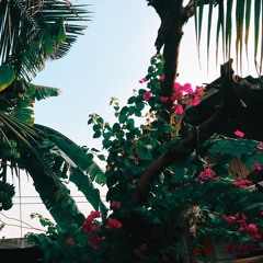 Flowers. (prod. Roko Tensei)