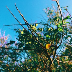 Summertide. (prod. Lakey Inspired)