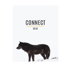 Connect [Remastered]
