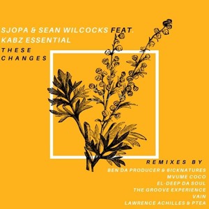 Dj Sjopa & Sean Wilcoks ft. Kabz Essential - These Changes (EL-Deep Da Soul Remix)