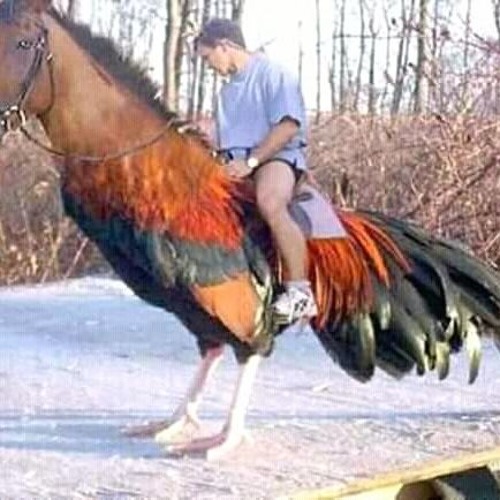 DatsirMokodompit - Gokil - [Stuken Family] New!!! 2k19