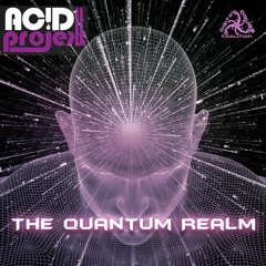 04 - AcidProjekt - Fundamental Frequency