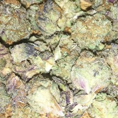 N.G.U - Eary ( maister X Coggy X Briggz)