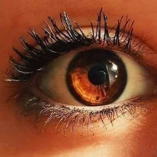 شيماء المغربى جبت الجبروت ده منين