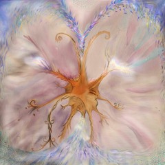 Beautiful Confusion