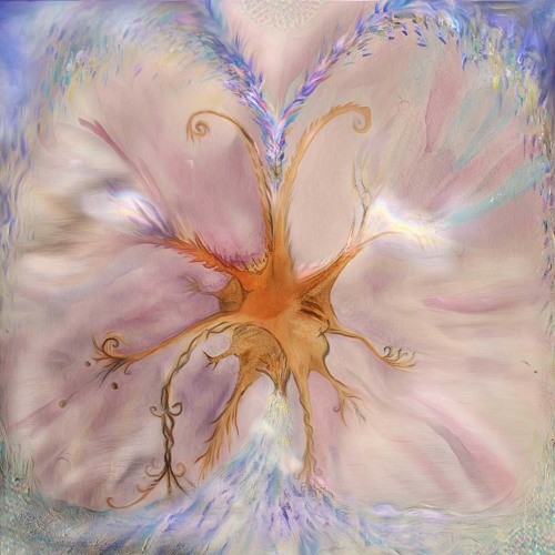 Beautiful Confusion