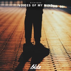 Rickydan - Voices of My Mind