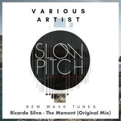 Ricardo Silva - The Moment (Original Mix)