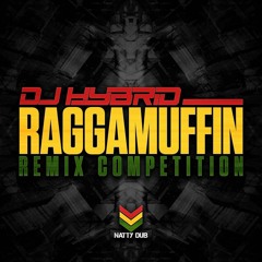 Dj Hybrid - Raggamuffin (JahnglistBwoy Remix)