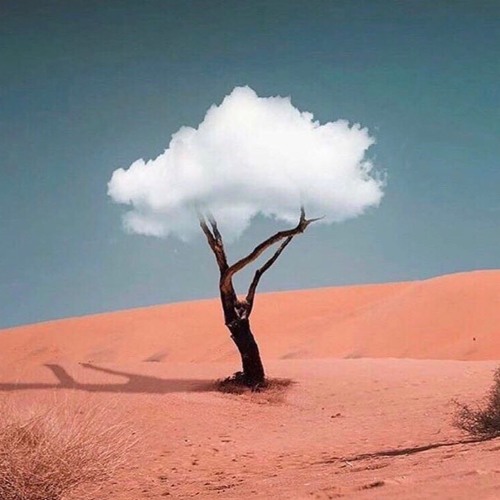 Quartertone Radio by Fayek