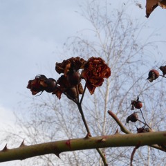 i tried to run away when i was 6 - it’s so nice