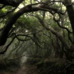 Molek MM014 (Original Mix)