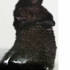 Laugh @ Today's Madness