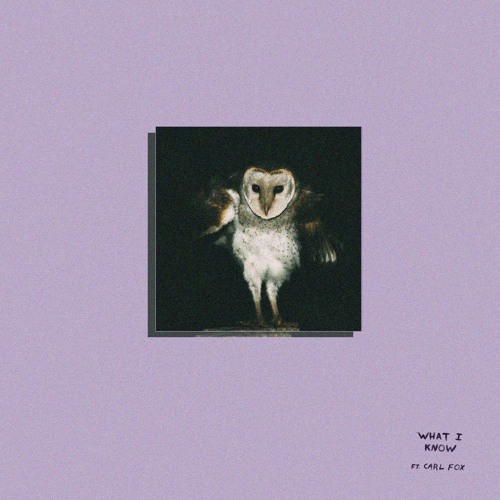 What I Know (ft. Carl Fox)