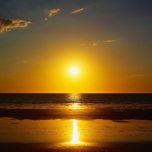 Surrender Warriors #2123