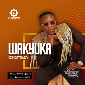 Geosteady - Wakyuka