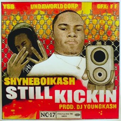 still kickin (dj.youngkash)