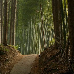The Last Guardian - "Forest" - Berlin Strings Mockup