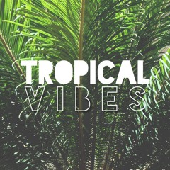 Tropical Haus (Ted MiniMix)