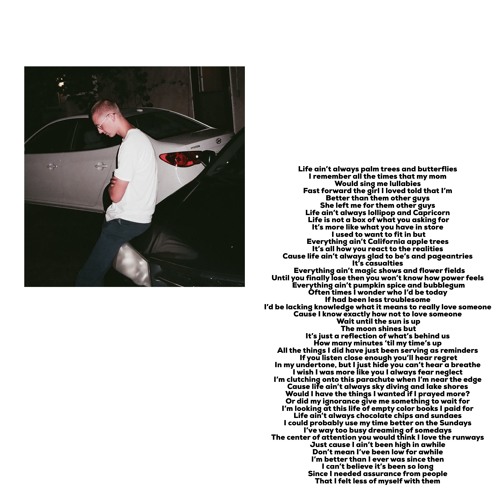 Palm Trees And Butterflies