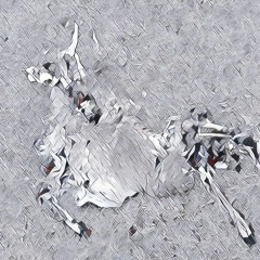 Weighed And Measured