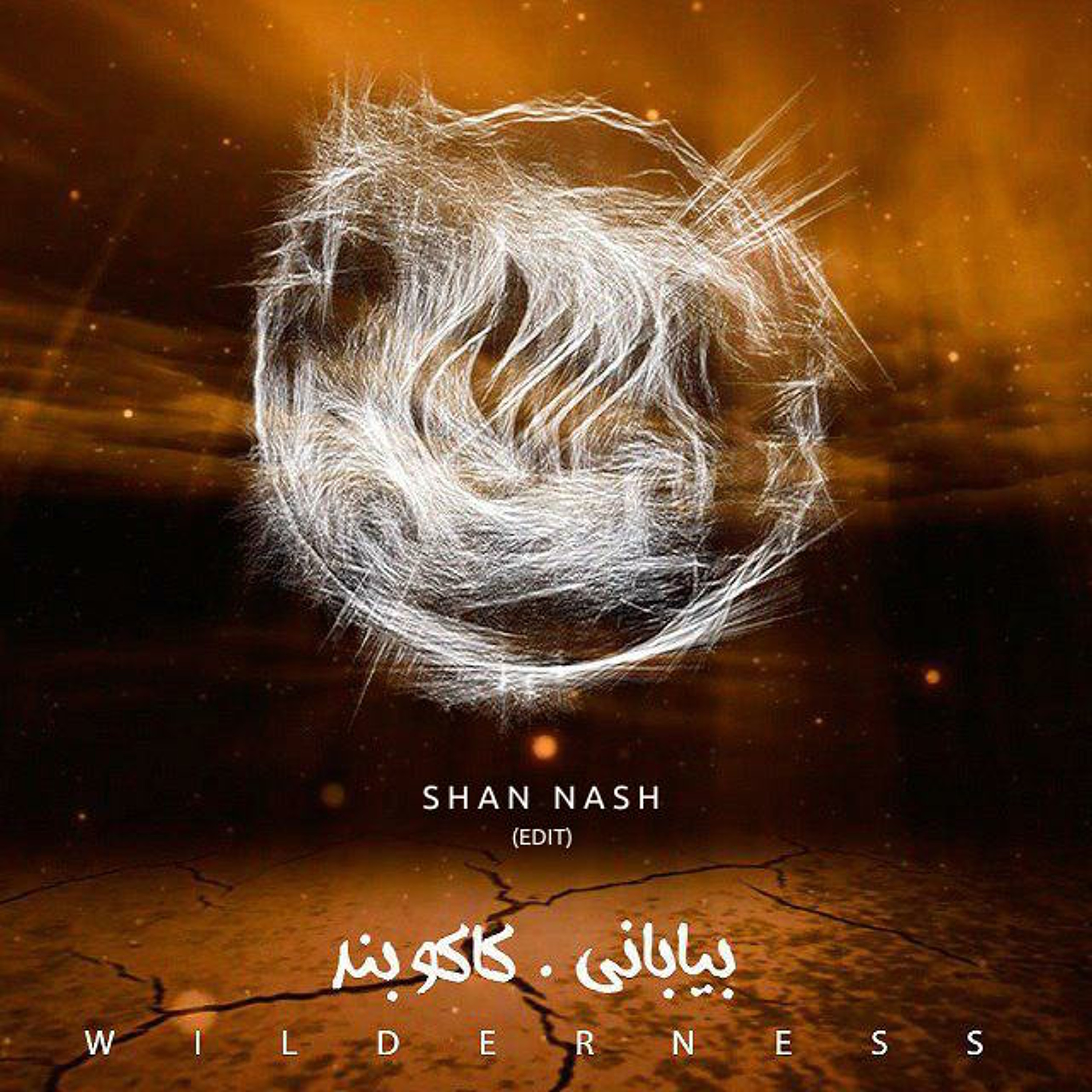 SHAN NASH Music