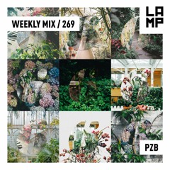 LAMP Weekly Mix #269 PZB Mixes Coyu