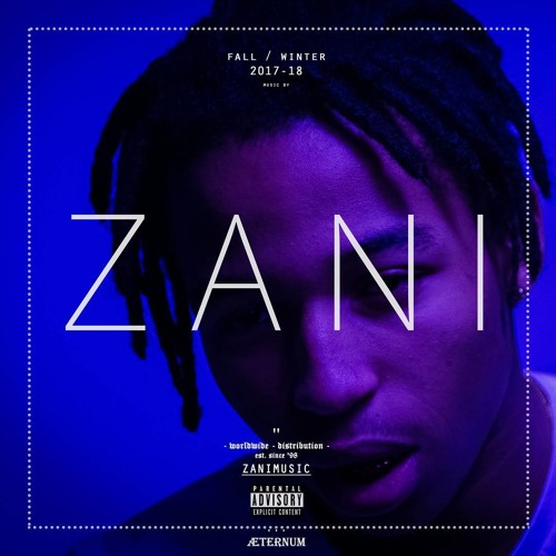 ZANI - Leader (prod. ICYTWAT)