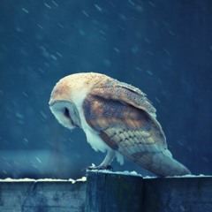 Blizzard (Original Mix)