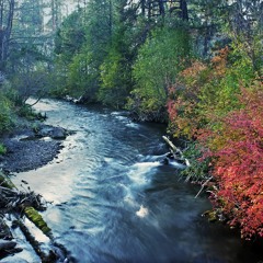 Husino - Utilitarian