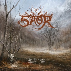 Saor-Forgotten Paths (Guitar Re-amping, Mixing)