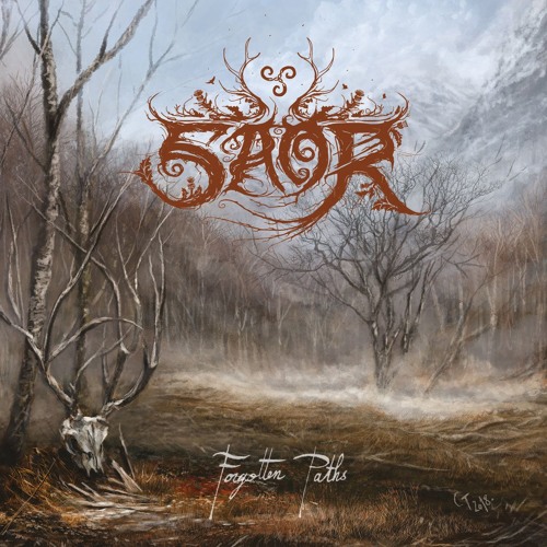 Saor-Forgotten Paths (Guitar Re-amping, Mixing)