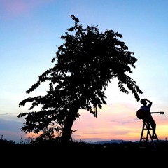 Có Chàng Trai Viết Lên Cây - Thành Nghiệp Cover - St: Phan Mạnh Quỳnh